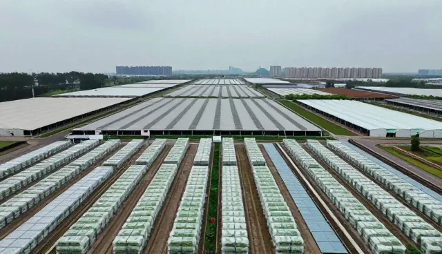 供应链优化中服务响应性能的适用条件分析